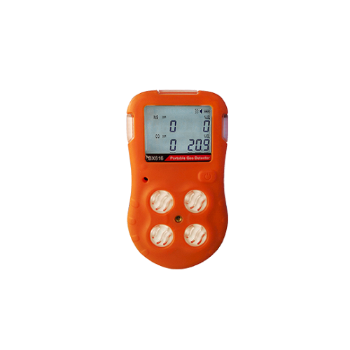 BX616 Portable Multi-gas Detector in Pakistan