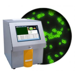 Easycounter YC Cell Counter in Pakistan